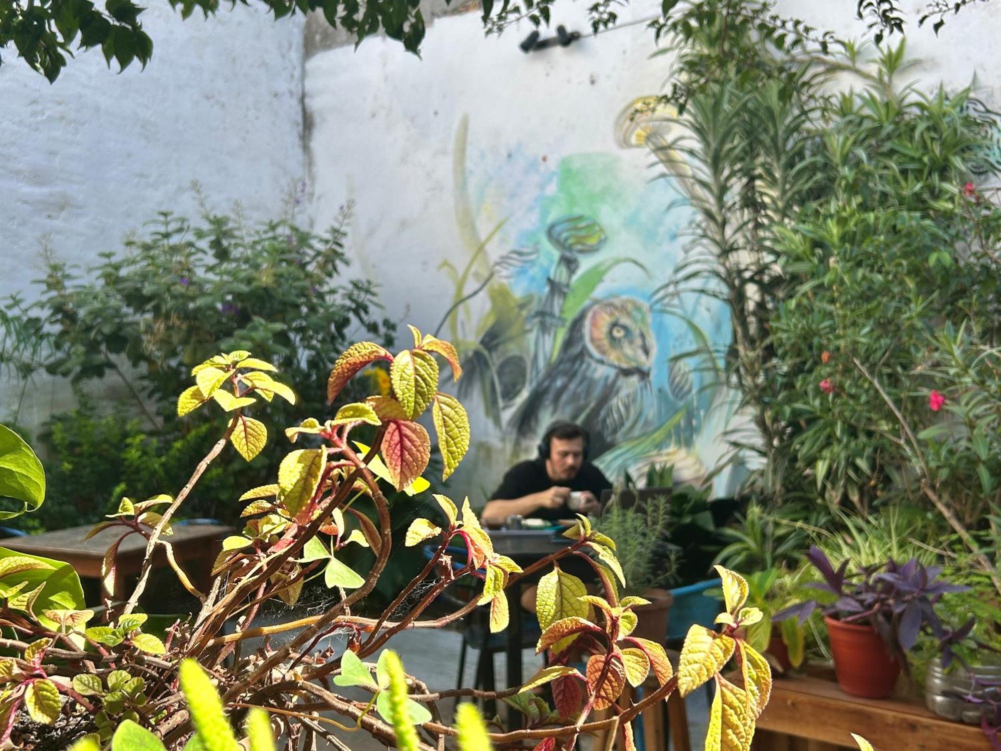 Bohemian Bed & Breakfast *